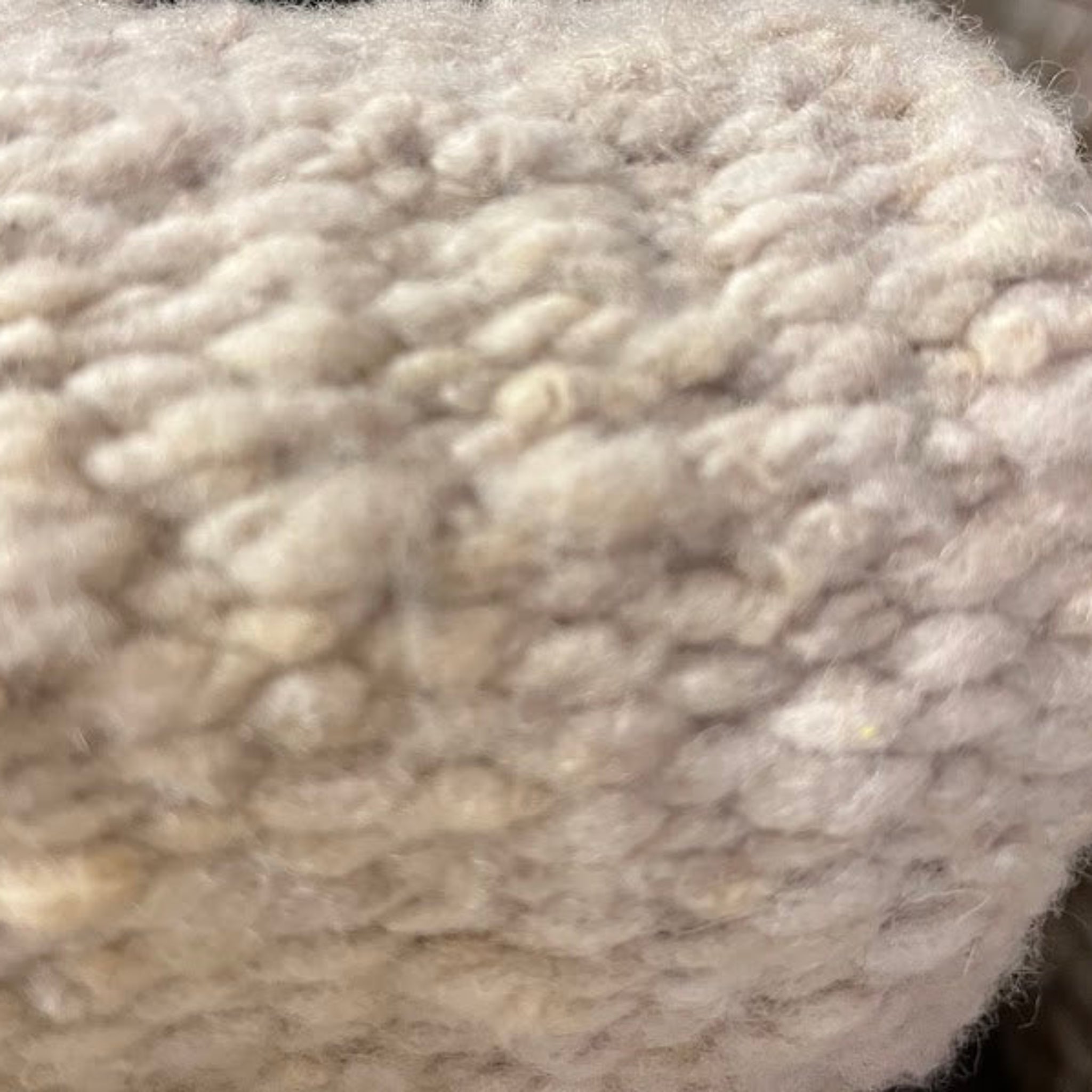 Organic Handloomed Wool Area Rugs